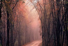 leyu乐鱼体育中国-皇马2-1绝杀西班牙人！本泽马破门锁定西甲第35冠