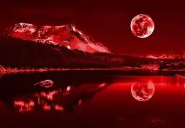 乐鱼体育在线娱乐-马其顿队球员发威，成功晋级